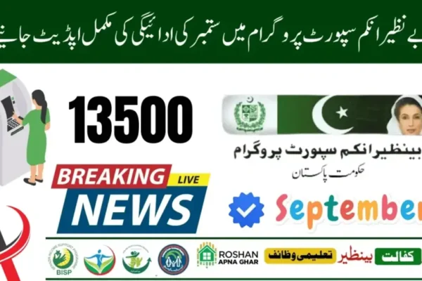 benazir income support programme 8171 benazir income support programme 8171