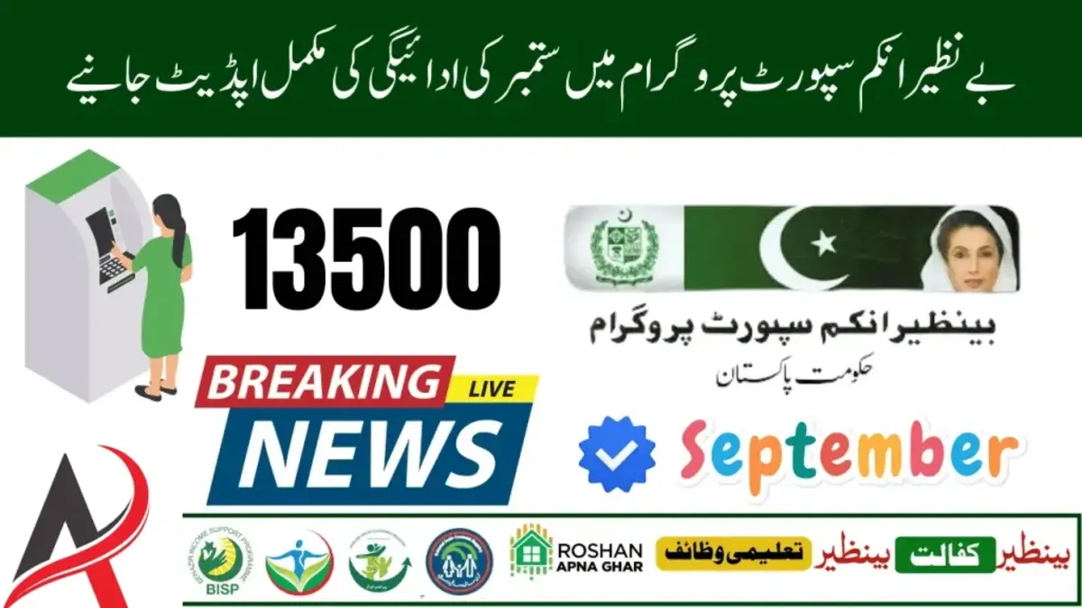 benazir income support programme 8171