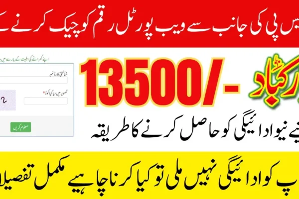 8171 Web Portal 2025 Check Online 13500 – September Update