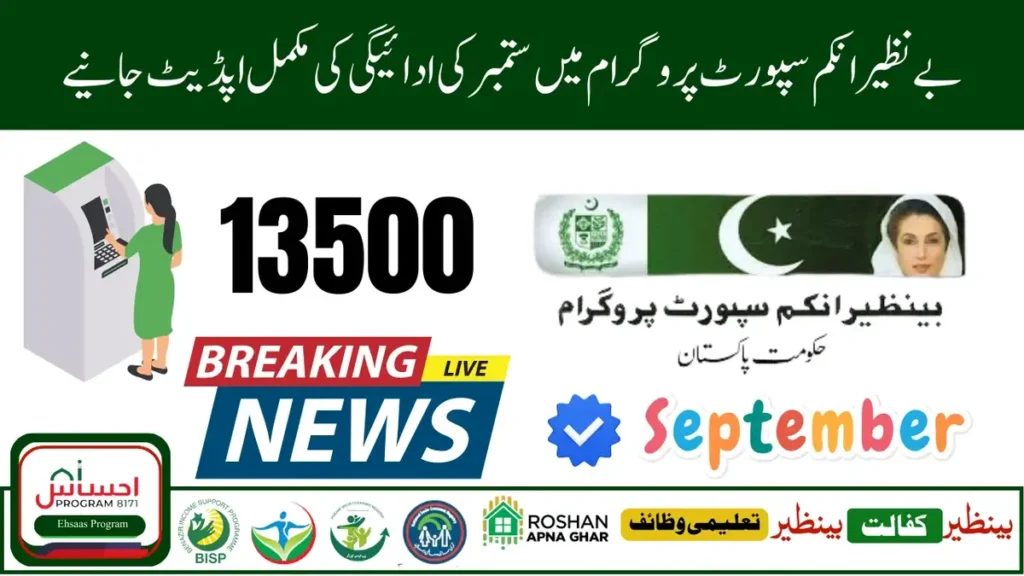 benazir income support programme 8171