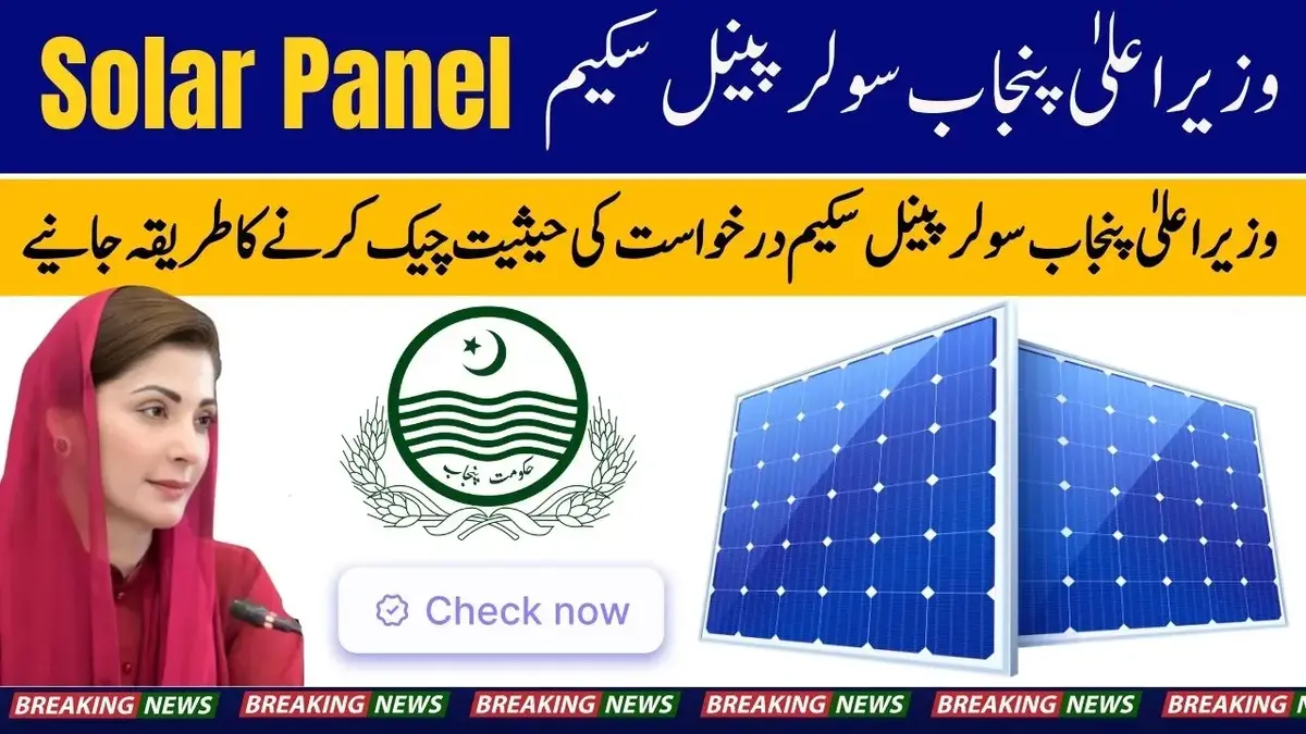 How to apply for solar panel subsidized rates 2025