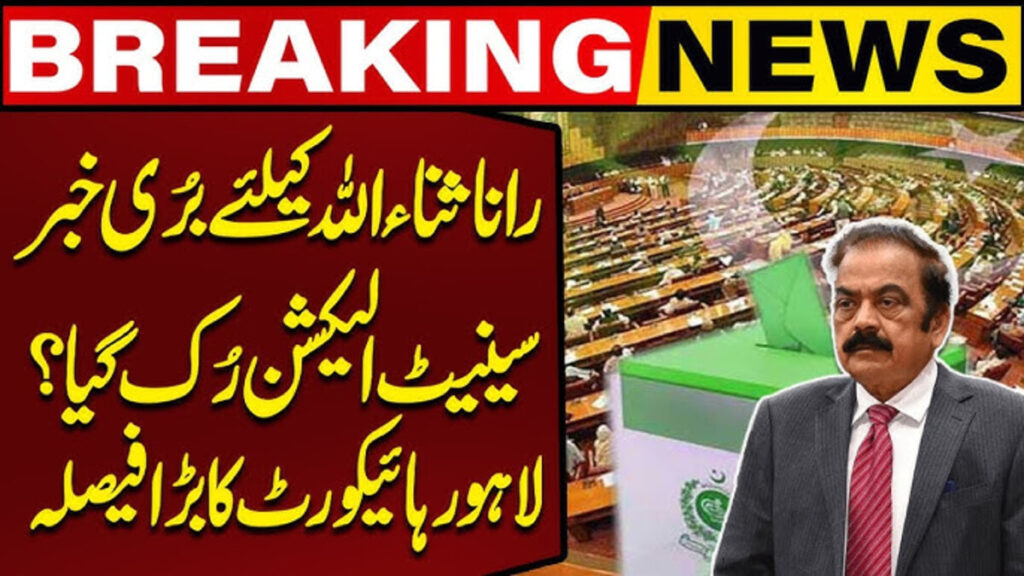 Rana Sana elected senator from Punjab 2025