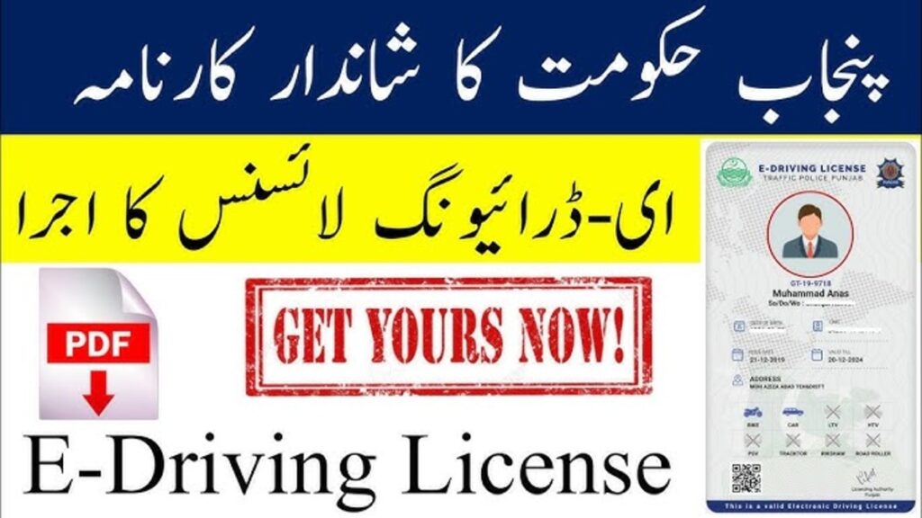 Car Driving License One-Year Fee in Punjab 2025