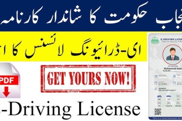 Car Driving License One-Year Fee in Punjab 2025 Car Driving License One-Year Fee in Punjab 2025