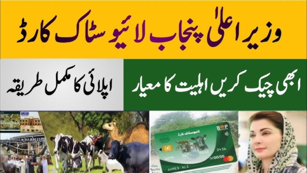 cm punjab livestock program phase 2 card registration 2025