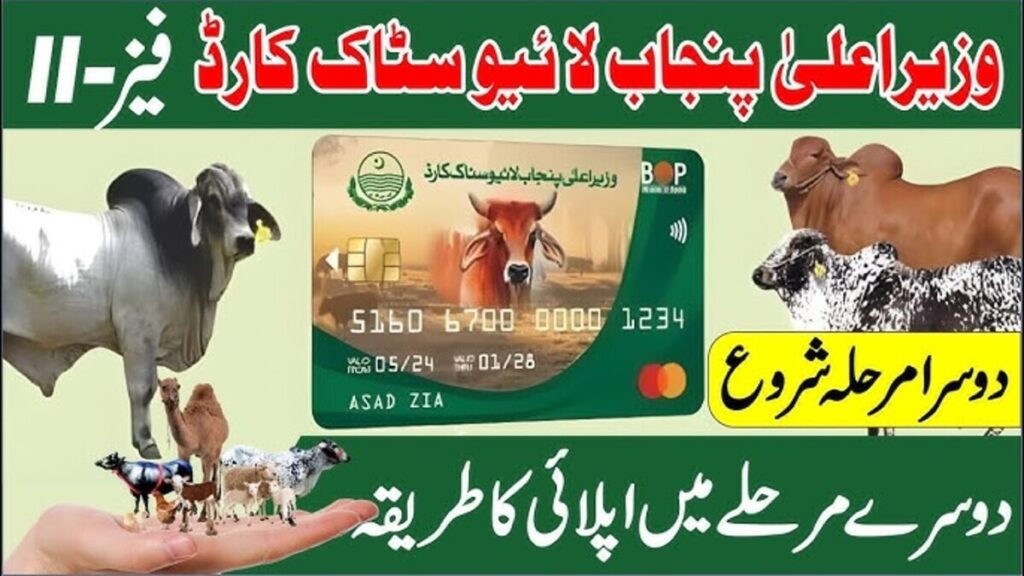 cm punjab livestock program phase 2 card registration 2025