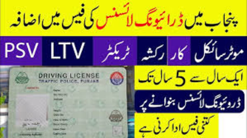 Car Driving License One-Year Fee in Punjab 2025