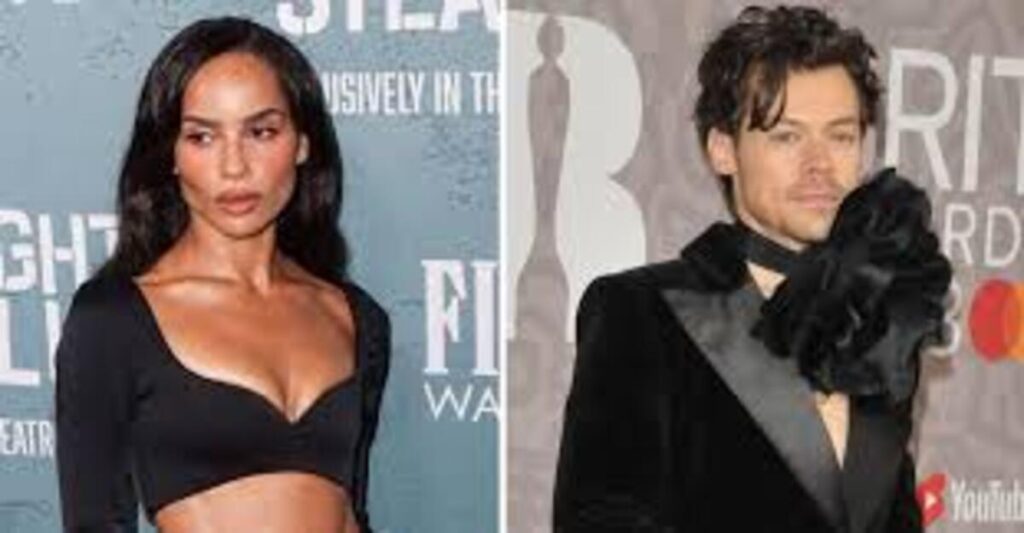 Zoe Kravitz warned by friends again Harry Styles