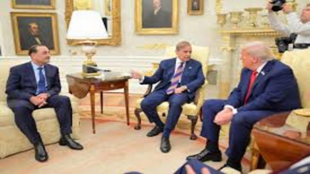 PM Shehbaz, President Trump share historic White House meeting