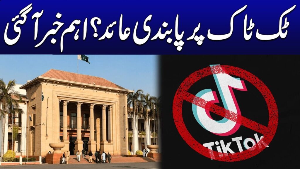 TikTok banned resolution submit in Punjab Assembly 2025