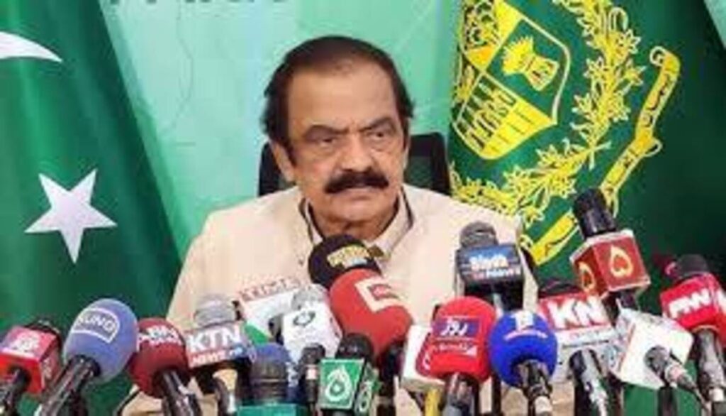 Rana Sana elected senator from Punjab 2025